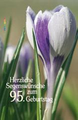 Herzliche Segensw�nsche zum 95. Geburtstag. Gl�ckwunsch-B�chlein im Gro�druck