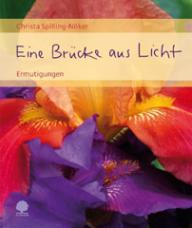 Produktbild: Eine Br�cke aus Licht