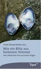 Produktbild: Wie ein Blitz aus heiterem Himmel