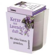 Produktbild: Das kleine Buch vom Lavendel - mit Duftkerze im Glas