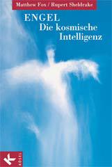 Produktbild: Engel - die kosmische Intelligenz