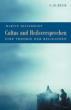 Riesebrodt, Martin: Cultus und Heilsversprechen